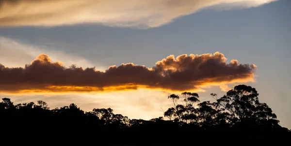 Brilhante Pôr Sol Sobre Gengivas Nsw Austrália — Fotografia de Stock