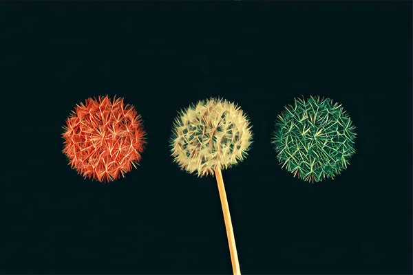 Ready set go - traffic light concept depicted with digital drawing of dandelions isolated on black