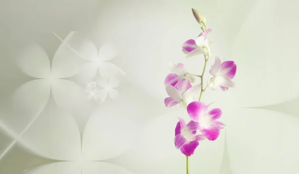 Fiori Viola Orchidea Sfondo Floreale — Foto Stock