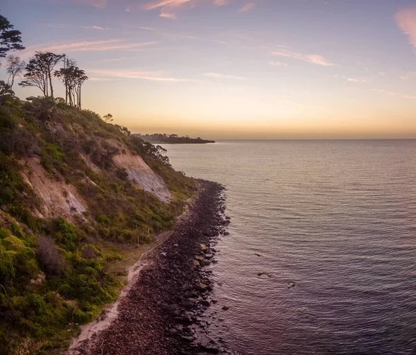 Okyanusun Yakınındaki Yeşil Bir Tepenin Üzerindeki Güzel Ağaçlar Canlı Günbatımında — Stok fotoğraf
