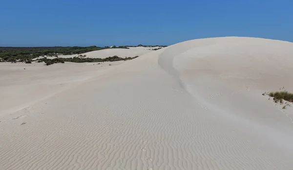 Grande Dune Sable Blanc Petit Sahara Île Kangourou Australie Sud — Photo