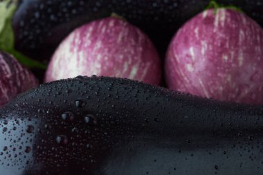 Islak siyah ve mor çizgili patlıcanlar aşırı yakın plan. Sığ alan derinliği