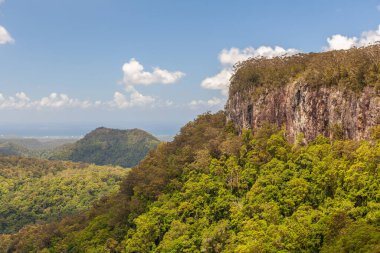 Springbrook Ulusal Parkı, Queensland, Avustralya 'da güzel bir kanyon.