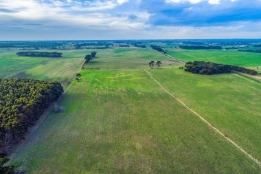 Avustralya 'daki otlakların havadan görünüşü