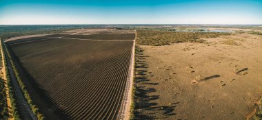 Kışın Kingston 'da Murray Caddesi' ndeki üzüm bağının hava manzarası. Riverland, Güney Avustralya