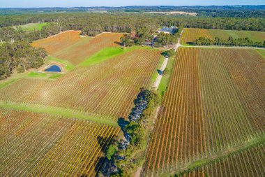 Aerial view of scenic large vineyard and forest in Australia clipart