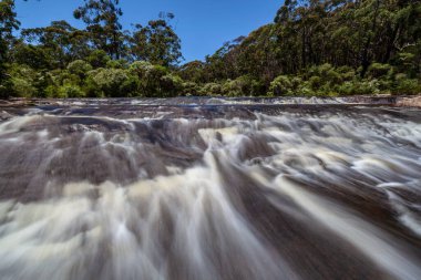 Bulanık su, ormandaki bir nehirde akıntıdan akıyor.