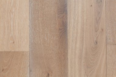 Meşe ağacı zemin - desen yakın çekim