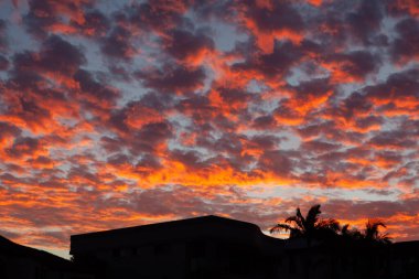 Canlı turuncu ve kırmızı günbatımı bulutları ev ve palmiye ağaçları siluetleri üzerinde