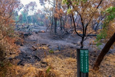 Avustralya 'da yanmış bir ormanın önündeki doğal koruma alanında standart bir acil durum işareti.