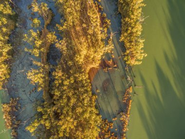 Hava manzarası - gün batımında okaliptüs ağaçları ve Murray Nehri 'ne bakıyor.