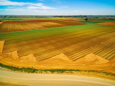 Parlak yaz gününde yeşil ve kahverengi tarlalardan oluşan hava manzarası