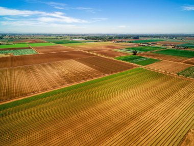 Avustralya 'da yaz günü ekili ve ekili tarlaların havadan görünüşü