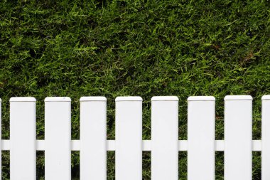 Fotokopi alanı olan beyaz çit ve yeşil çit yakın plan