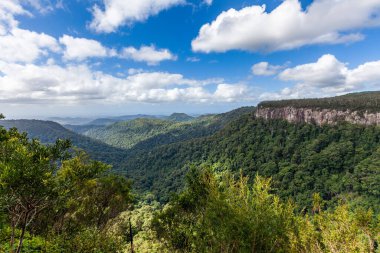 Tüylü beyaz bulutların altında yemyeşil yağmur ormanları ve engebeli uçurumlar. Springbrook Ulusal Parkı, Queensland, Avustralya