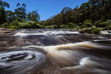 Budderoo Ulusal Parkı, NSW, Avustralya 'daki Carrington Şelalesi' nde güzel bir yüzme yeri.