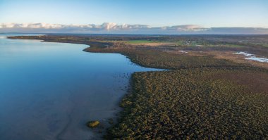 Alacakaranlıkta okyanus kıyısında büyüyen mangrovlardan oluşan hava manzarası. Melbourne, Avustralya