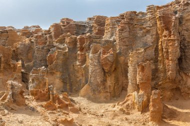 Petrified Forest, Cape Bridgewater, Avustralya 'da alışılmadık kaya oluşumları