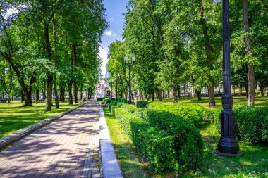 Minsk, Belarus 'ta aydınlık bir yaz gününde ağaçlarla dolu bir parkta güzel bir ara sokak.