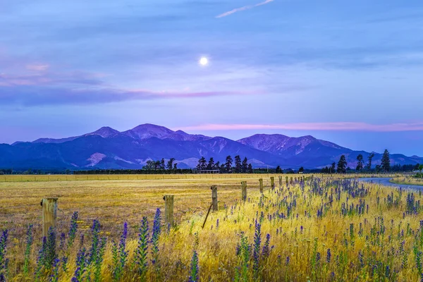 Luna Subiendo Sobre Hermosas Montañas Campo Amarillo Atardecer Nueva Zelanda — Foto de Stock