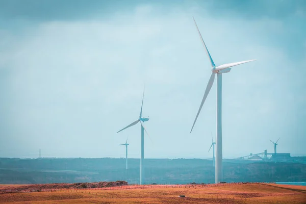 Вітрові Турбіни Зібралися Вітроелектростанції Концепція Чистої Енергії — стокове фото