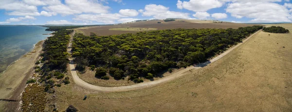 Panorama Kangaroo Island Kręta Wiejska Droga Drzewa Pastwiska — Zdjęcie stockowe