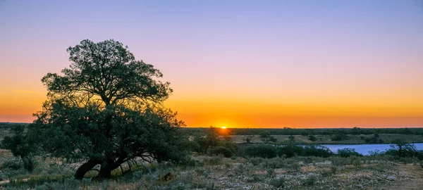 Panorama Pôr Sol Sobre Deserto Austrália Com Espaço Cópia — Fotografia de Stock