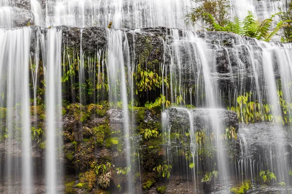 Agua Que Fluye Sobre Rocas Helechos Cascada Primer Plano Tasmania —  Fotos de Stock