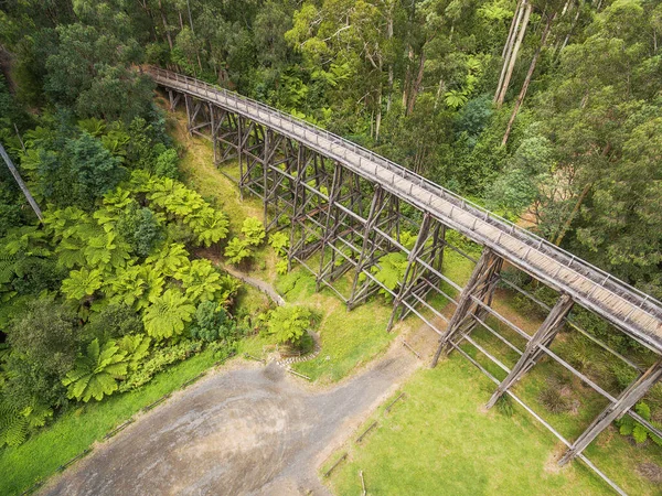Zabytkowy Most Australijskim Lesie Widok Lotu Ptaka — Zdjęcie stockowe