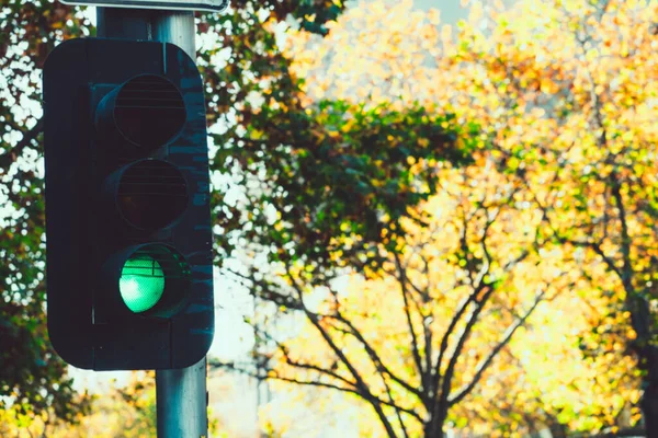 Green traffic light in downtown Melbourne, Australia