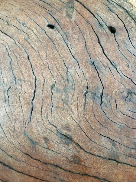 Wooden Texture Driftwood Extreme Closeup Flowing Lines Cracks — Stock Photo, Image