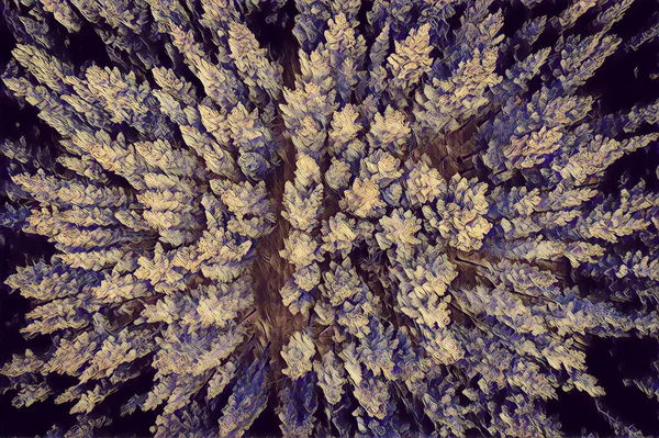 Вид Зверху Вниз Вершини Дерев Лісовому Цифровому Мистецтві — стокове фото