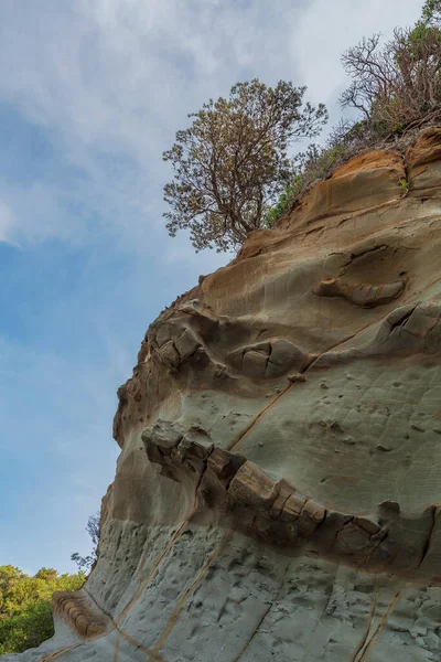 นไม โดดเด ยวท บโตบนห สวยงามท ชายหาด Eagle Nest Victoria Australia — ภาพถ่ายสต็อก