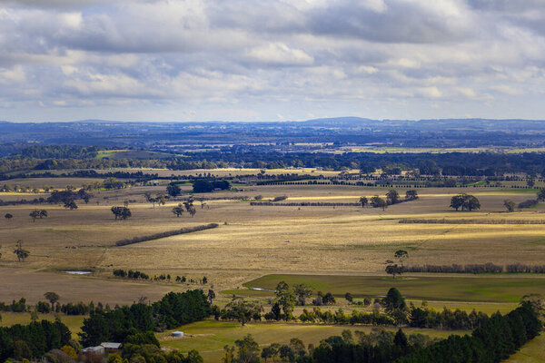 Meadows and pastures of Australia in winter