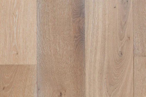 Meşe ağacı zemin - desen yakın çekim