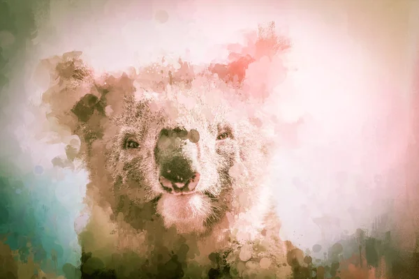 Konstnärligt Porträtt Koala Tittar Genom Målat Smutsigt Glas Konstverk — Stockfoto
