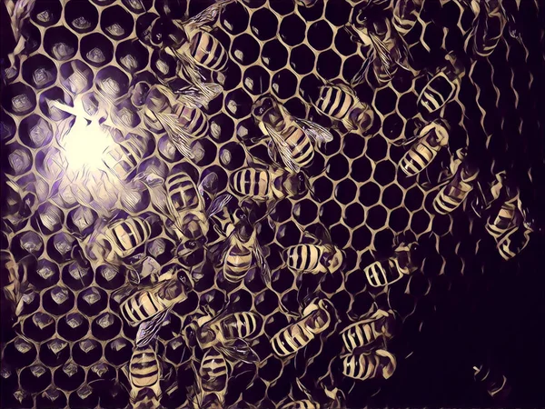 Bienen Schwärmen Bienenstock Auf Waben Illustration — Stockfoto