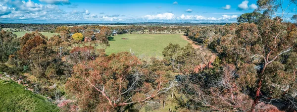 Luftaufnahme Von Weiden Und Gummibäumen Auf Der Mornington Peninsula Victoria — Stockfoto