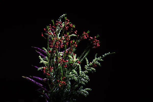 带有复制空间的黑色背景美丽的澳大利亚本土开花植物花束 — 图库照片
