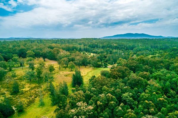 Pemandangan Udara Hutan Asli Australia Dengan Gunung Latar Belakang — Stok Foto