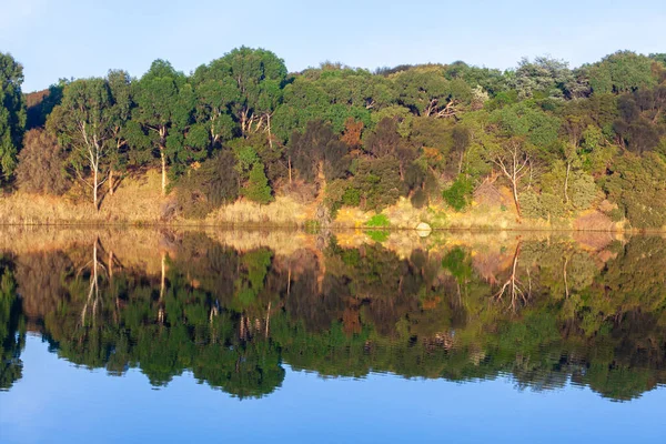 Groene Oranje Bomen Reflecteren Rustig Rivierwater — Stockfoto