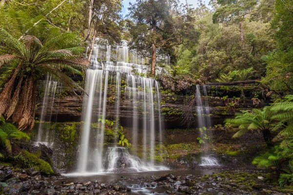 Famous Russell Falls Park Narodowy Mount Field Tasmania Australia — Zdjęcie stockowe