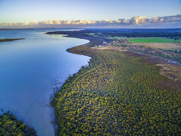 Flygfoto Över Mangroveträsk Växer Nära Den Vackra Havskusten Vid Solnedgången — Stockfoto