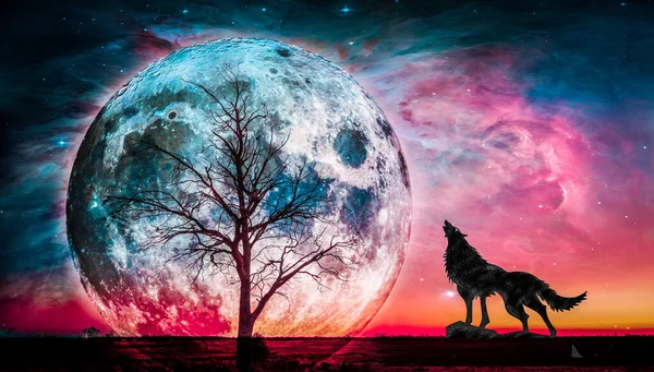 Fantasielandschap Huilende Wolf Kale Boomsilhouetten Met Een Enorme Planeet Achter — Stockfoto