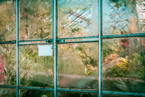 将玻璃门混入带有复制空间的热带温室 — 图库照片