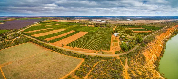 Luchtpanorama Van Landbouwvelden Buurt Van Murray River Murtho Riverland Australië — Stockfoto