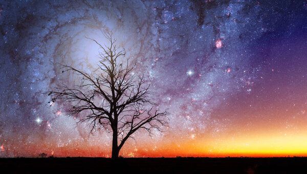 Lonely tree silhouette in alien world with bright galaxy vortex in the sky. Elements of this image are furnished by NASA