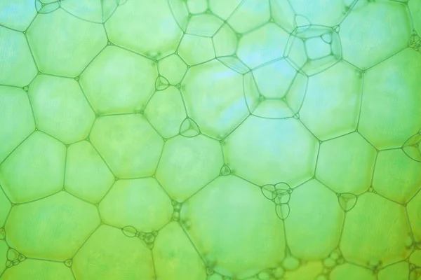 Abstract Background Hexagonal Geometric Shapes Soap Bubbles Extreme Closeup — Stock Photo, Image