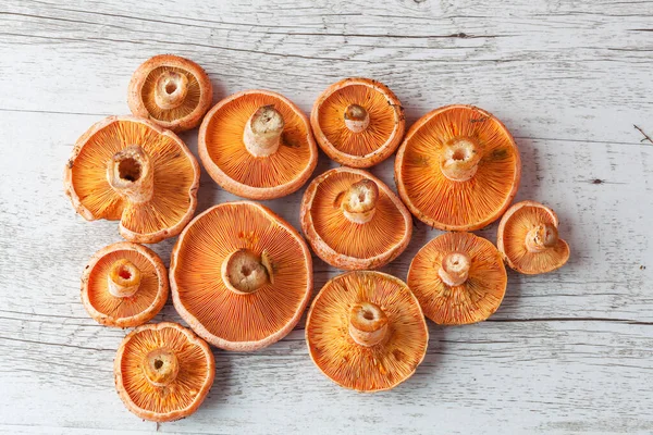 Bunch of orange Saffron Milk Cap mushrooms on white rustic wooden table. Top view, flat lay.