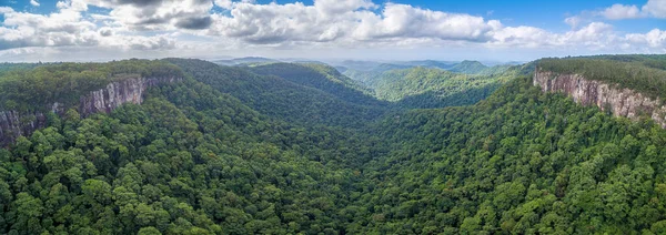 Εθνικό Πάρκο Springbrook Μνημείο Παγκόσμιας Κληρονομιάς Unesco Κουίνσλαντ Αυστραλία — Φωτογραφία Αρχείου